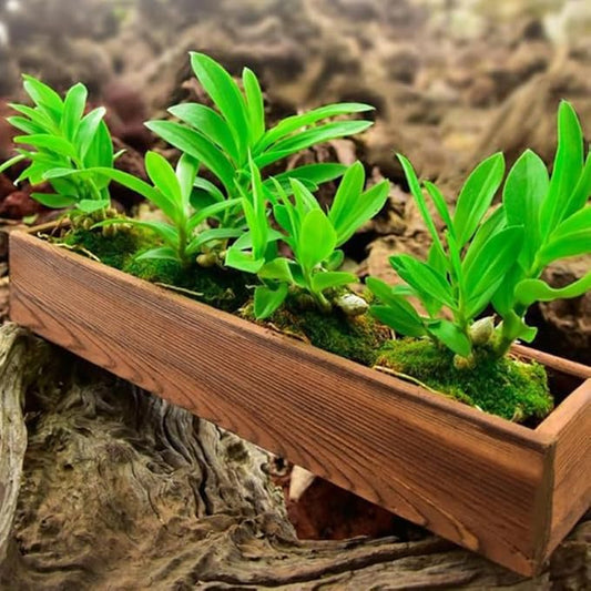 Rustic Wooden Flower Planter Box 11.81 Inch Anti-Rotten Cedar Wood Window Box for Gardening Balcony Patio Outdoor Use