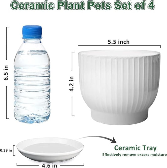 5.5 Inch Plant Pot, Ceramic Planter with Drainage and Saucer,Ceramic Pots for Plants, Indoor Plant pots,Succulent Orchid Flower Pot(Pure White,4 Pack)