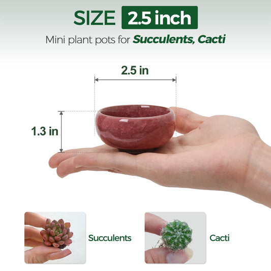 T4U Mini Succulent Pots, Small Shallow Ceramic Pots, Retro Gift Set of 6
