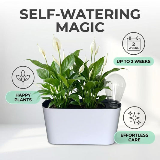 Yaghpy Self Watering Pots for Indoor Plants,12.5’’ Oval Planter with Lantern Type Water Storage Tank Level Indicators for Plants & Flower Outdoor Pothos Herb pots, Window Box (2 Set, White)