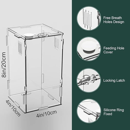 BETAZOOER Acrylic Mini Reptile Tank Habitat Transparent Terrariums with Locking Latch Suitable for Tarantula Isopod Roach Invertebrates (4''x4''x8'')
