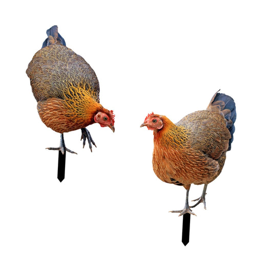 Leefasy Garden Rooster Stake Hen Ornaments Decorative Figures Gift Figurines Animal Statue Stakes Realistic Chicken Sculpture for Farm Patio Outdoor, AB