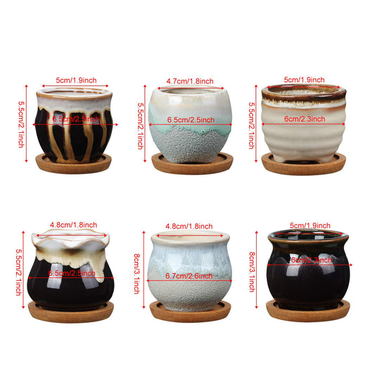 BBTO 6 Set Mini Succulent Pots with Drainage and Bamboo Tray 2.9 x 3.1in
