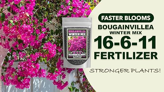 Fertilizer Commercial Grade | Bougainvillea Winter Mix 16-6-11 | 3 Pounds | Custom Professional Mix | Cold-Season Bloom Formula | Controlled Release Nutrition | Micronutrients | Vivid Color & Growth