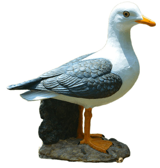 Euiroet Real Seagull Outdoor Sculpture,Garden Bird Statue,Beach Statue Decor,Resin Animal Seabird Ornaments,Coastal Beach Decor,Patio Decor for Outdoor Table Decorfor Garden,Terrace,Lawn,Yard