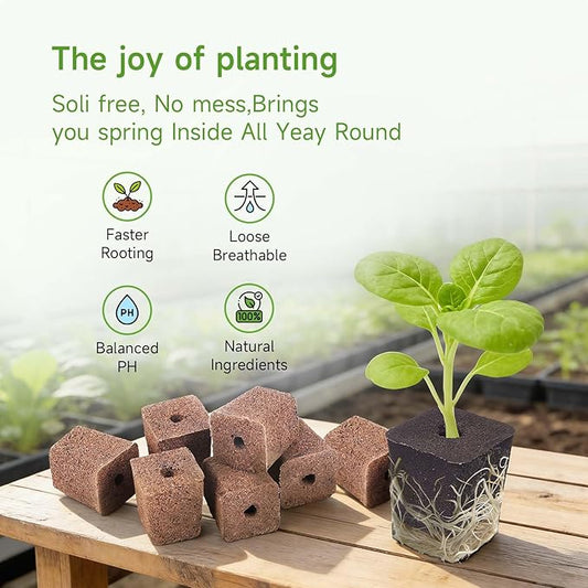 50 Pack Grow Sponges Square Sponge Replacement Part Seedling Starter Sponges for Hydroponic Indoor Garden System Cuttage Rooting Germination Kits