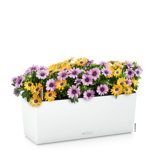 Lechuza BALCONERA Color 50 White, Self-Watering Window Box (Railing Planter), H7.5 L19.7 W7.5 in