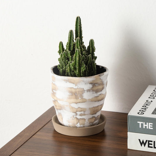 Pkeo Bbun Modern Irregular Ceramic Planter Set of 4, 4 Inch Small Unique Reactive Glaze Flower Pots with Drainage Holes & Saucers - Indoor Outdoor Decorative Succulent Orchid Pots- Light Brown