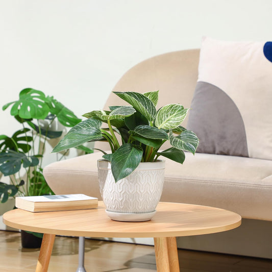 6.5 Inch Ceramic Plant Pots Set of 2, Glazed White Embossed