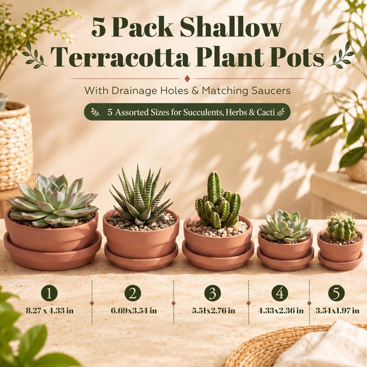 Maxdot 5 Pack 3.5/4.3/5.5/6.7/8.3'' Shallow Terracotta Pots Set