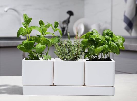 D'vine Dev Herb Garden Planter Set, Plastic Plant Pots with Drainage and Saucer, Indoor Succulent Cactus Vegetable Pot for Windowsill, Garden Balcony, White, Set of 2, 76-V-A-2