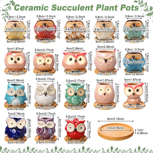 Cindeer 18 Pcs 2.5 Inch Owl Ceramic Succulent Planter Pots Mini Small Ceramic Pots with Drainage Hole and Bamboo Tray for Succulents Glaze Cactus for Home Garden Office Desk Decoration Gift Ideas