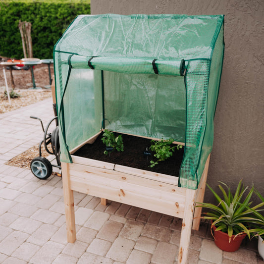Backyard Expressions 36"x24" Elevated Garden Bed with Greenhouse Cover – Raised Wooden Planter Box with Legs, Mini Outdoor Greenhouse, 66" Tall