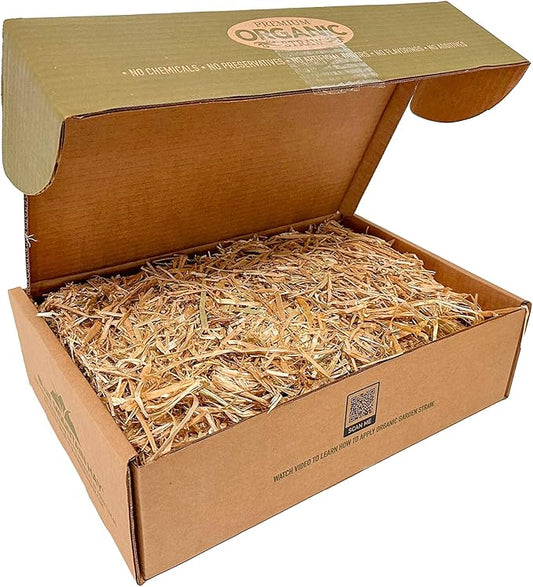 Blue Mountain Hay Organic Garden Straw (5 lb) - Natural Mulch for Gardening, Flower Beds & Landscaping, New Lawn Grass Seeding, Compost, Raised Garden Bed, Cat Grass & Grass Seed