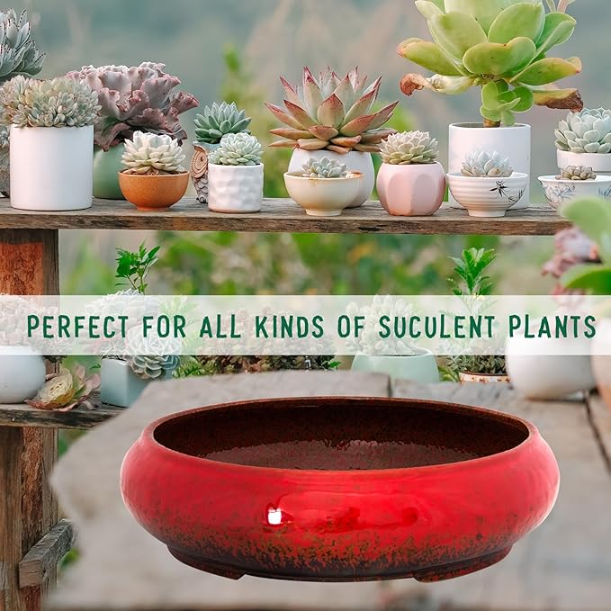 ARTKETTY Succulent Pots - 11.5 Inch Ceramic Bonsai Pots with Drainage, Large Shallow Succulent Planters for Indoor Outdoor Plants, Round Glazed Cactus Flower Plant Container Bowl Home Desk Decor(Red)