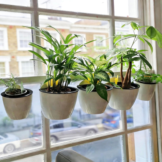 3 Pack Self Watering Wall Hanging Planter Pots Vertical Garden Window Hang Mount Indoor Outdoor Plant Flower Basket for Kitchen Herbs Balcony Railing Shelf Fence Bedroom Trellis Decor Modern White Box