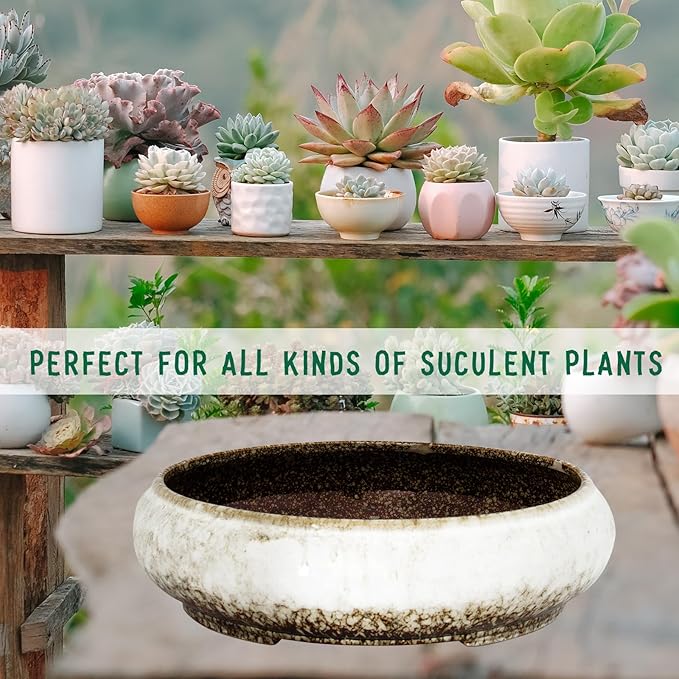 Succulent Pots - 11.5 Inch Ceramic Bonsai Pots with Drainage, Large Shallow Succulent Planters for Indoor Outdoor Plants, Round Glazed Cactus Flower Plant Container Bowl Home Desk Decor(White)