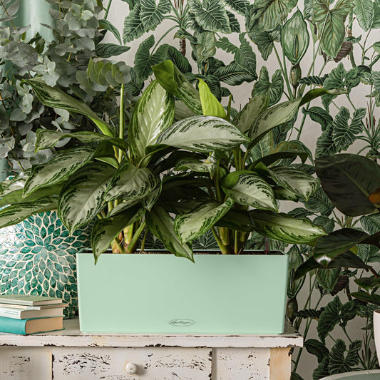 Lechuza BALCONERA Color 50 Pastel Green, Self-Watering Window Box (Railing Planter), H7.5 L19.7 W7.5 in