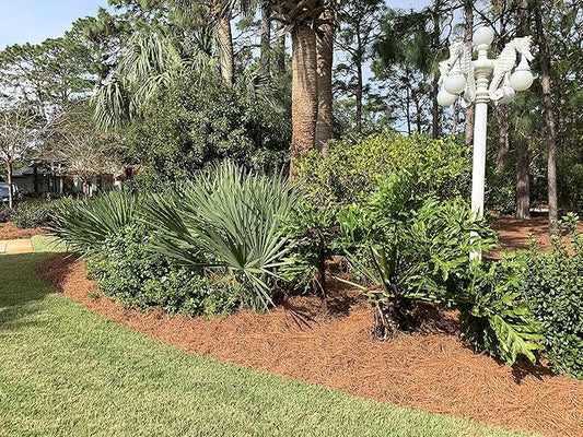 Longleaf Pine Straw Roll for Landscaping - Brown Color UV Resistant - Covers Up to 125 Square Feet