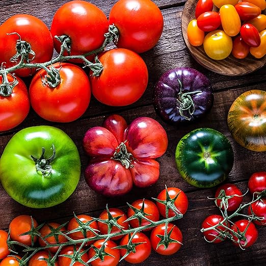 The Old Farmer's Almanac Organic Tomato & Vegetable Plant Food Fertilizer