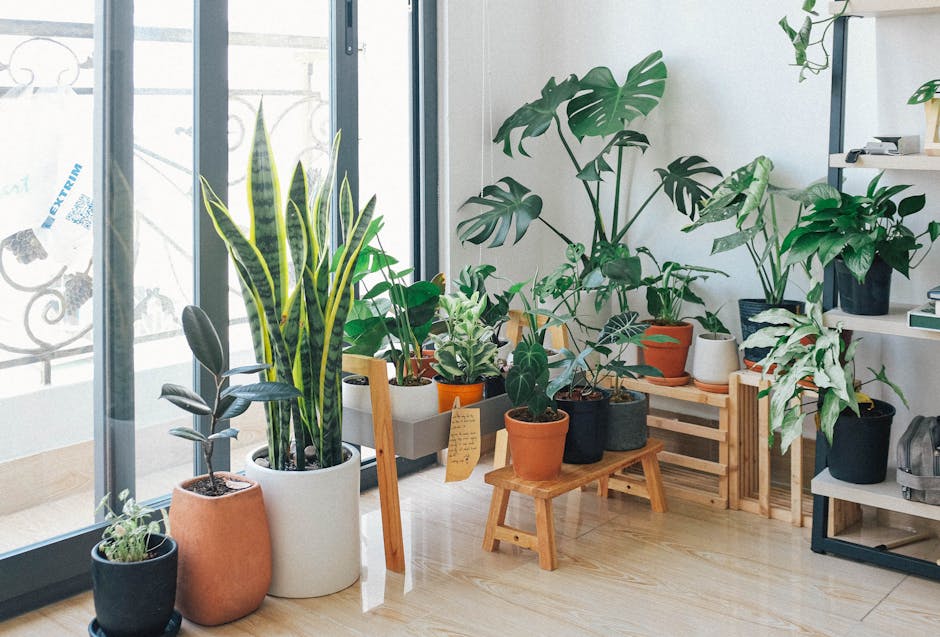 10 Perfect Indoor Plants to Enhance Your Living Room Decor