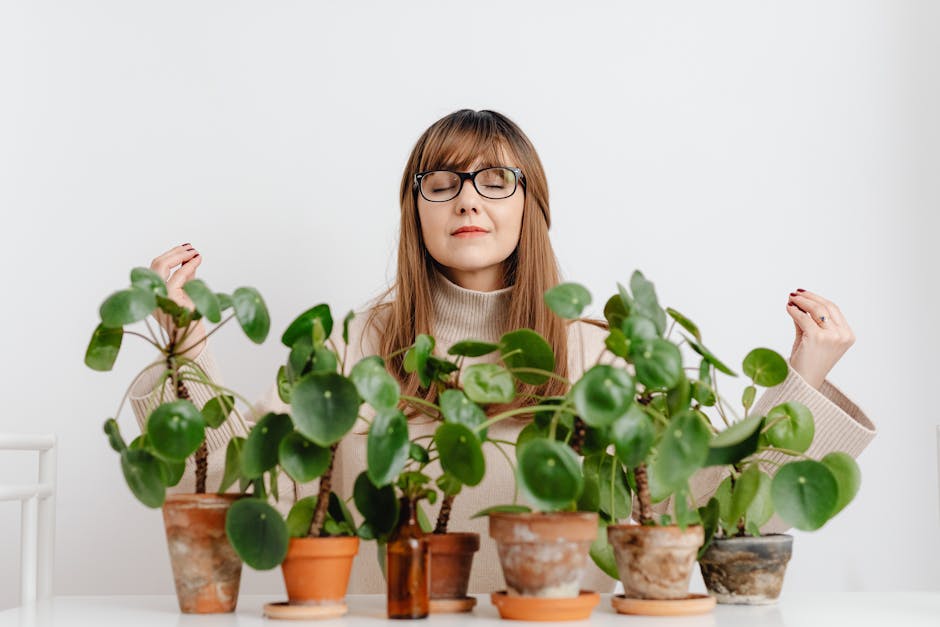 How to Create a Zen Indoor Garden for Stress Relief