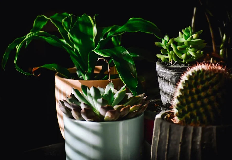 10 Resilient Indoor Plants That Thrive in Summer Heat