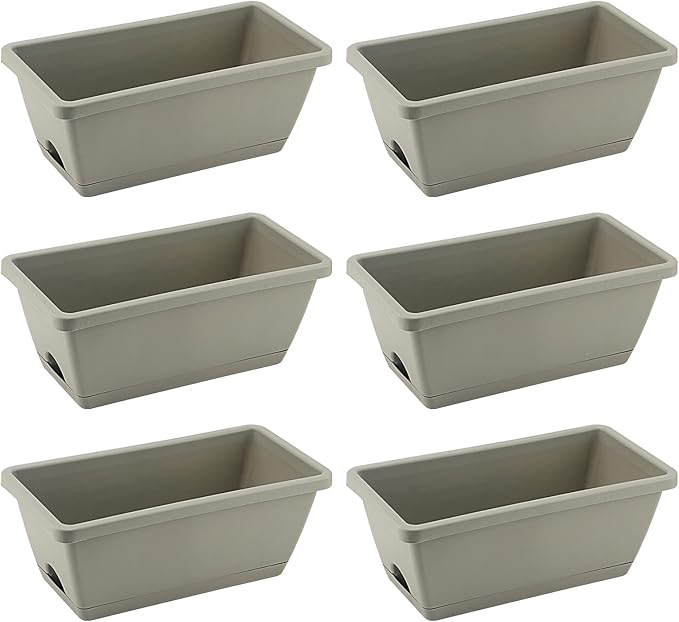 Window Boxes