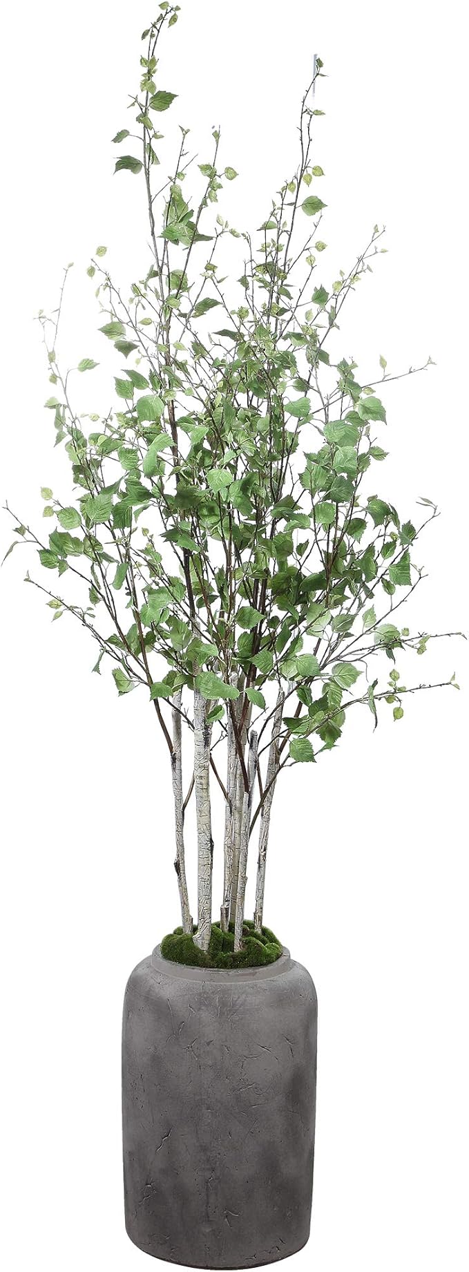 Artificial Plants, Flowers & Greenery collection