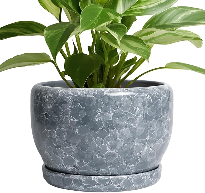 Ceramic Planters