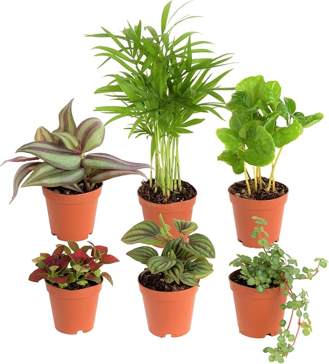 Nursery Pots