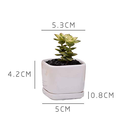 WISH HALLY WOOD Mini 6 Set of 2x2x1.65inch Square Modern Minimalist White Ceramic Succulent mini Planter Pot/Window Box with Saucer (6, 2inch)
