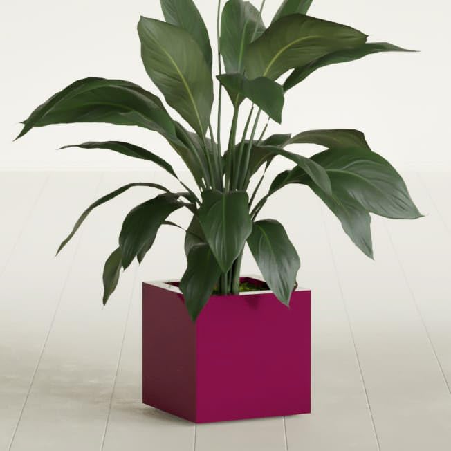 Greenline Jack Large Square Cube Fiberglass Planter, Modern Indoor/Outdoor