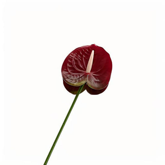 Bulk Burgundy Artificial Anthurium Flowers 24.4" Fake Tropical Greenery Stems Real Touch Faux Anthuriums Flowers for Vase Filler, Bouquets & Centerpieces, Home Decor