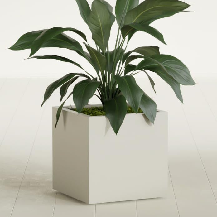 Greenline Jack Large Square Cube Fiberglass Planter, Modern Indoor/Outdoor