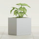 Greenline Large Square Cube Fiberglass Planter, Modern Indoor/Outdoor