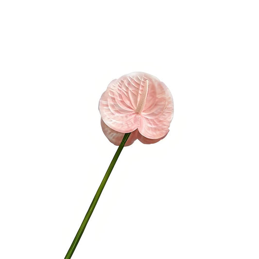 Bulk Pink Artificial Anthurium Flowers 24.4" Fake Tropical Greenery Stems Real Touch Faux Anthuriums Flowers for Vase Filler, Bouquets & Centerpieces, Home Decor