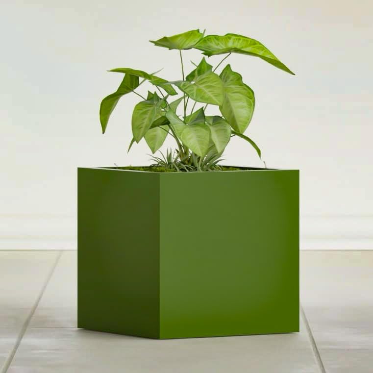 Greenline Jack Large Square Cube Fiberglass Planter, Modern Indoor/Outdoor