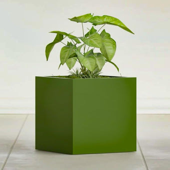Greenline Jack Large Square Cube Fiberglass Planter, Modern Indoor/Outdoor