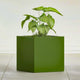 Greenline Jack Large Square Cube Fiberglass Planter, Modern Indoor/Outdoor