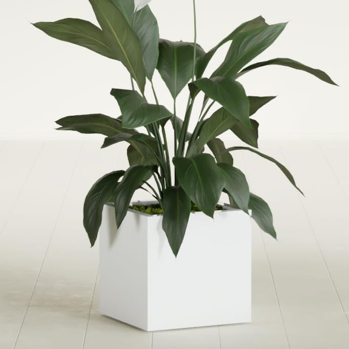 Greenline Jack Large Square Cube Fiberglass Planter, Modern Indoor/Outdoor