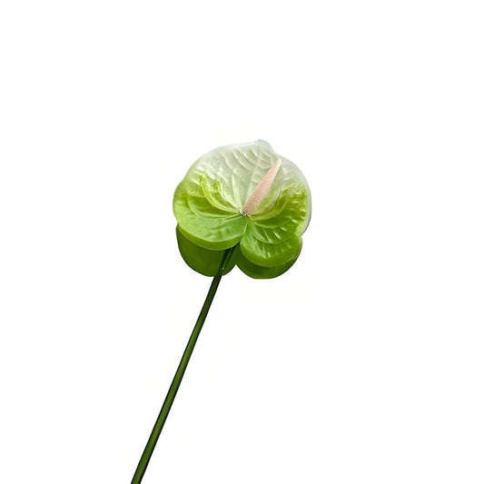 Bulk Green White Artificial Anthurium Flowers 24.4" Fake Tropical Greenery Stems Real Touch Faux Anthuriums Flowers for Vase Filler, Bouquets & Centerpieces, Home Decor
