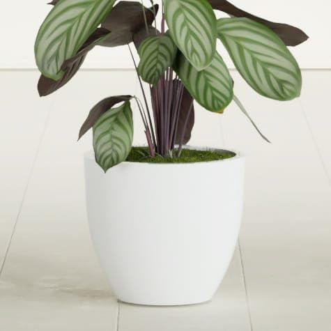 Greenline Lucy Large Round Fiberglass Planter, Tall Modern Indoor/Outdoor
