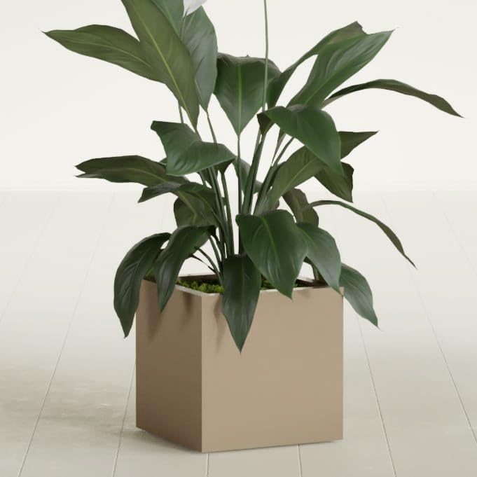 Greenline Jack Large Square Cube Fiberglass Planter, Modern Indoor/Outdoor