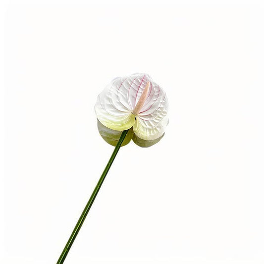 Bulk White Green Artificial Anthurium Flowers 24.4" Fake Tropical Greenery Stems Real Touch Faux Anthuriums Flowers for Vase Filler, Bouquets & Centerpieces, Home Decor
