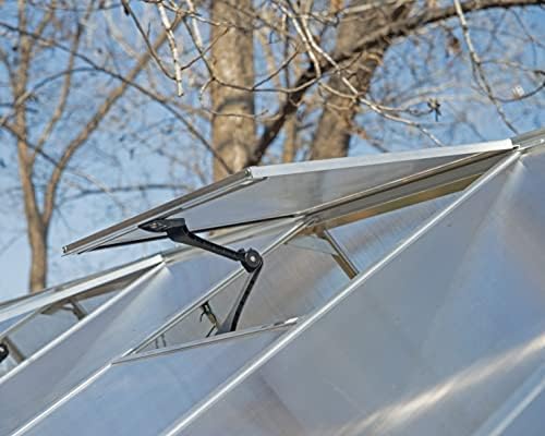 Palram - Canopia Mythos 6' x 8' Polycarbonate Hang Plants Greenhouse Silver