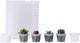 BangQiao 100 Pack 2.55 Inch Small Clear Plastic Square Nursery and Seedling Pot with Drain Hole for Germination, Cactus, Herb, Succulent