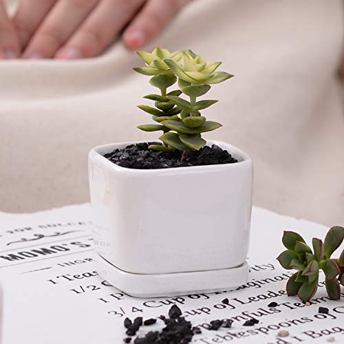 WISH HALLY WOOD Mini 6 Set of 2x2x1.65inch Square Modern Minimalist White Ceramic Succulent mini Planter Pot/Window Box with Saucer (6, 2inch)