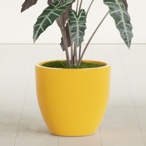 Greenline Lucy Large Round Fiberglass Planter, Tall Modern Indoor/Outdoor