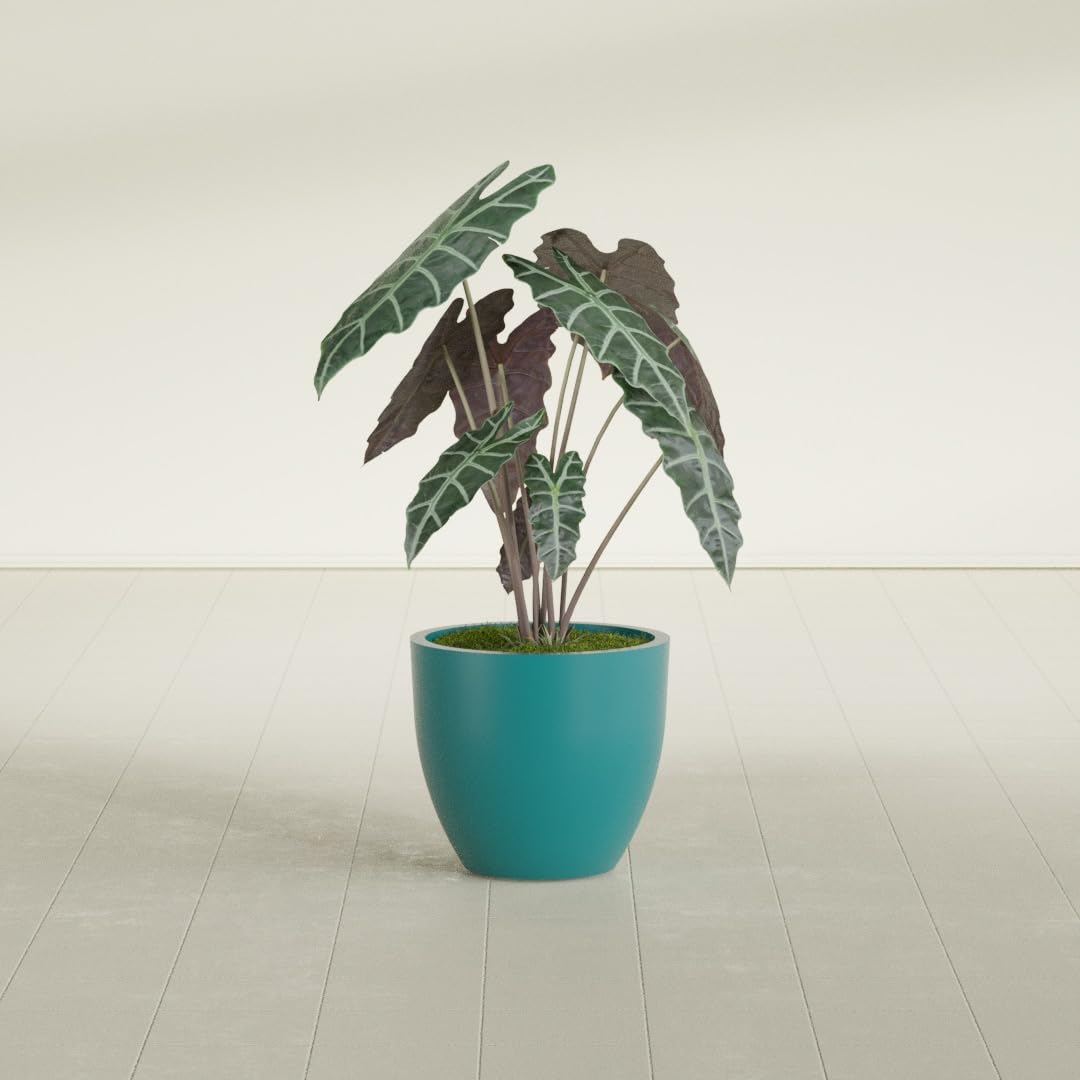 Greenline Lucy Large Round Fiberglass Planter, Tall Modern Indoor/Outdoor